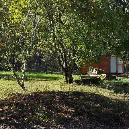 Agricampeggio Madonna Di Pogi Bucine Pokój zdjęcie