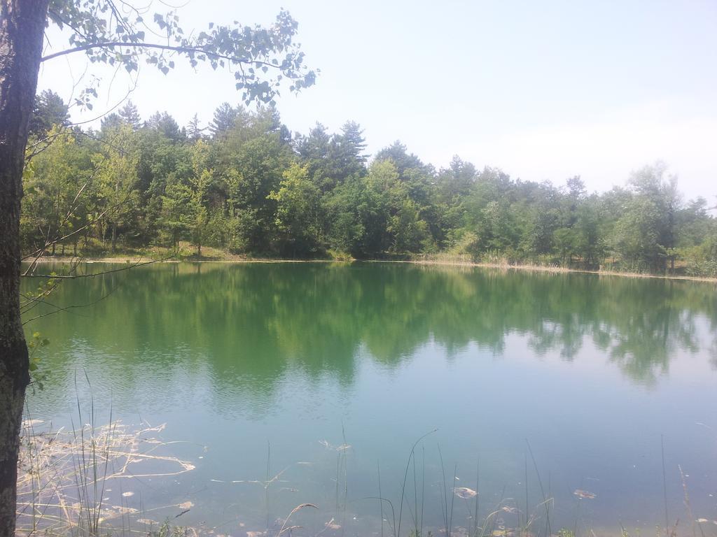 Agricampeggio Madonna Di Pogi Bucine Zewnętrze zdjęcie